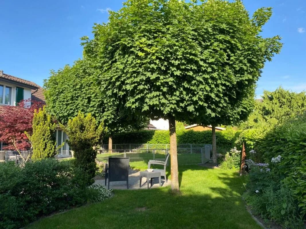 Einfamilienhaus mit grossem Garten