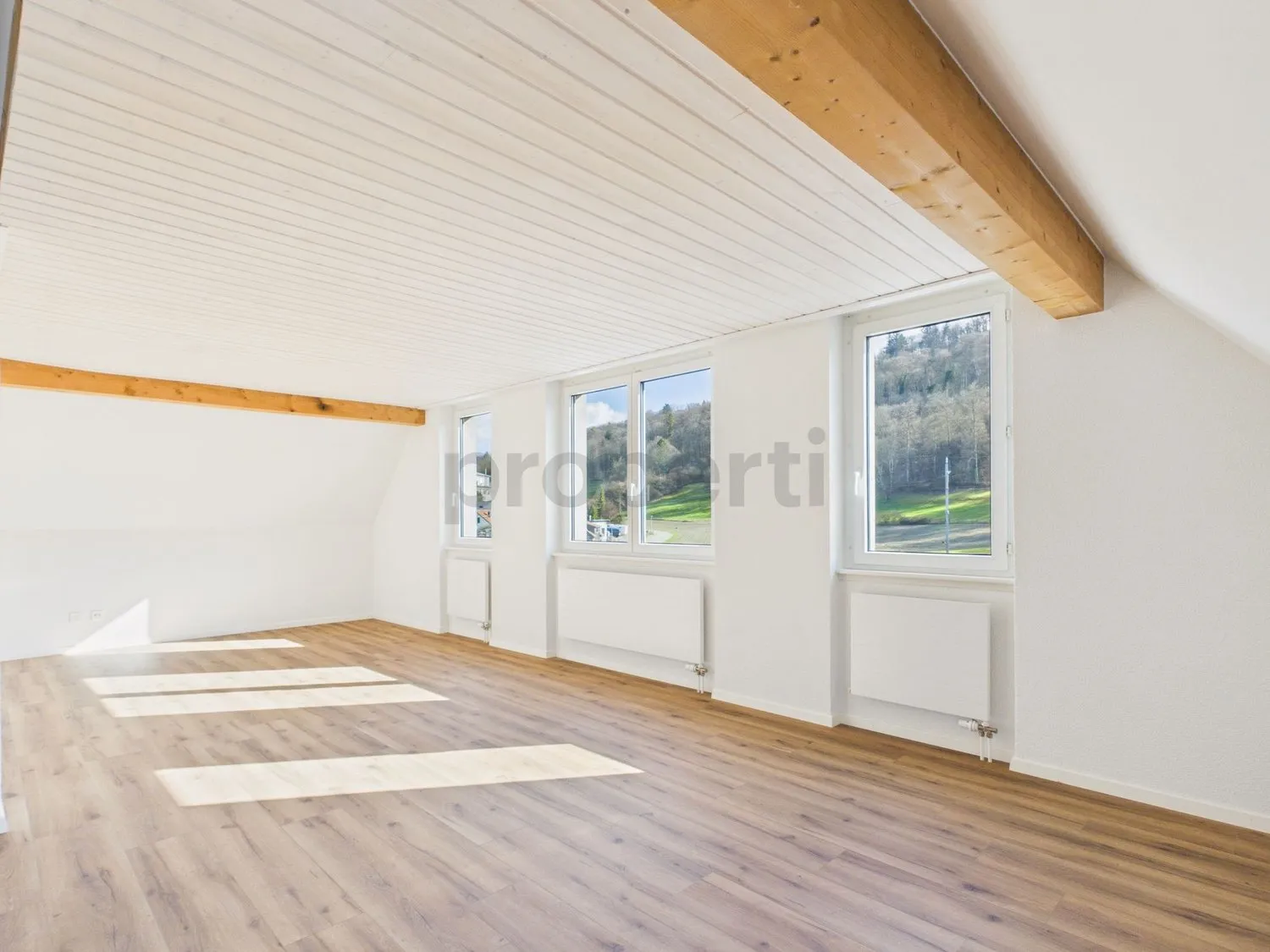 Charmante 4-Zimmer-Maisonette-Wohnung mit Dachgeschoss-Charme in Feuerthalen