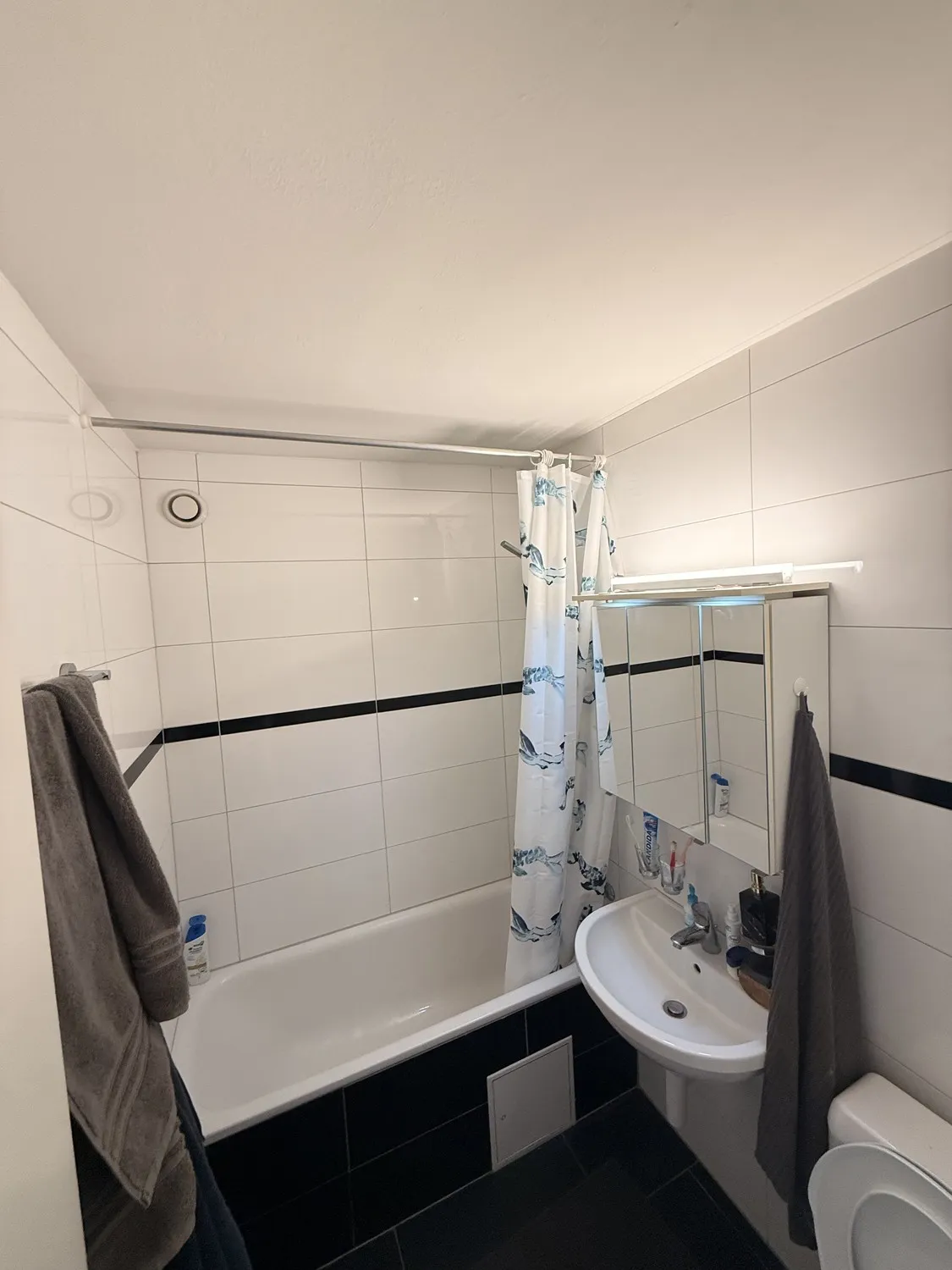 Moderne 2.5 Zimmer-Wohnung (ca. 50 m²) in Frenkendorf  hell & gepflegt