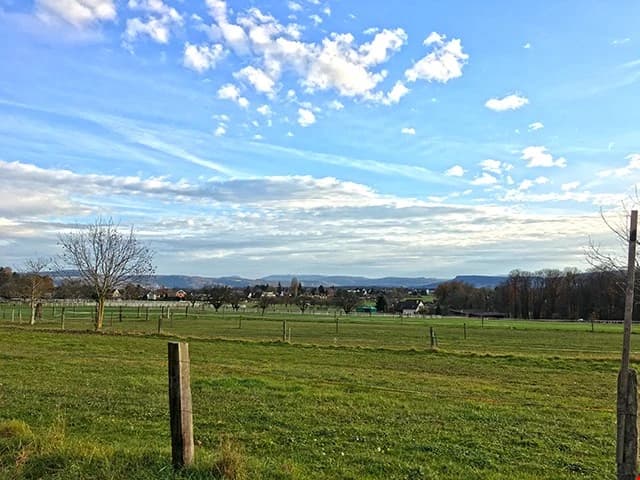 BINNINGEN - EINFAMILIENHAUS AN TOP LAGE - 7 ZIMMER