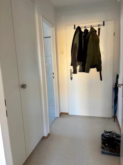 Grosszügige 1.5-Zimmerwohnung direkt an der Limmat