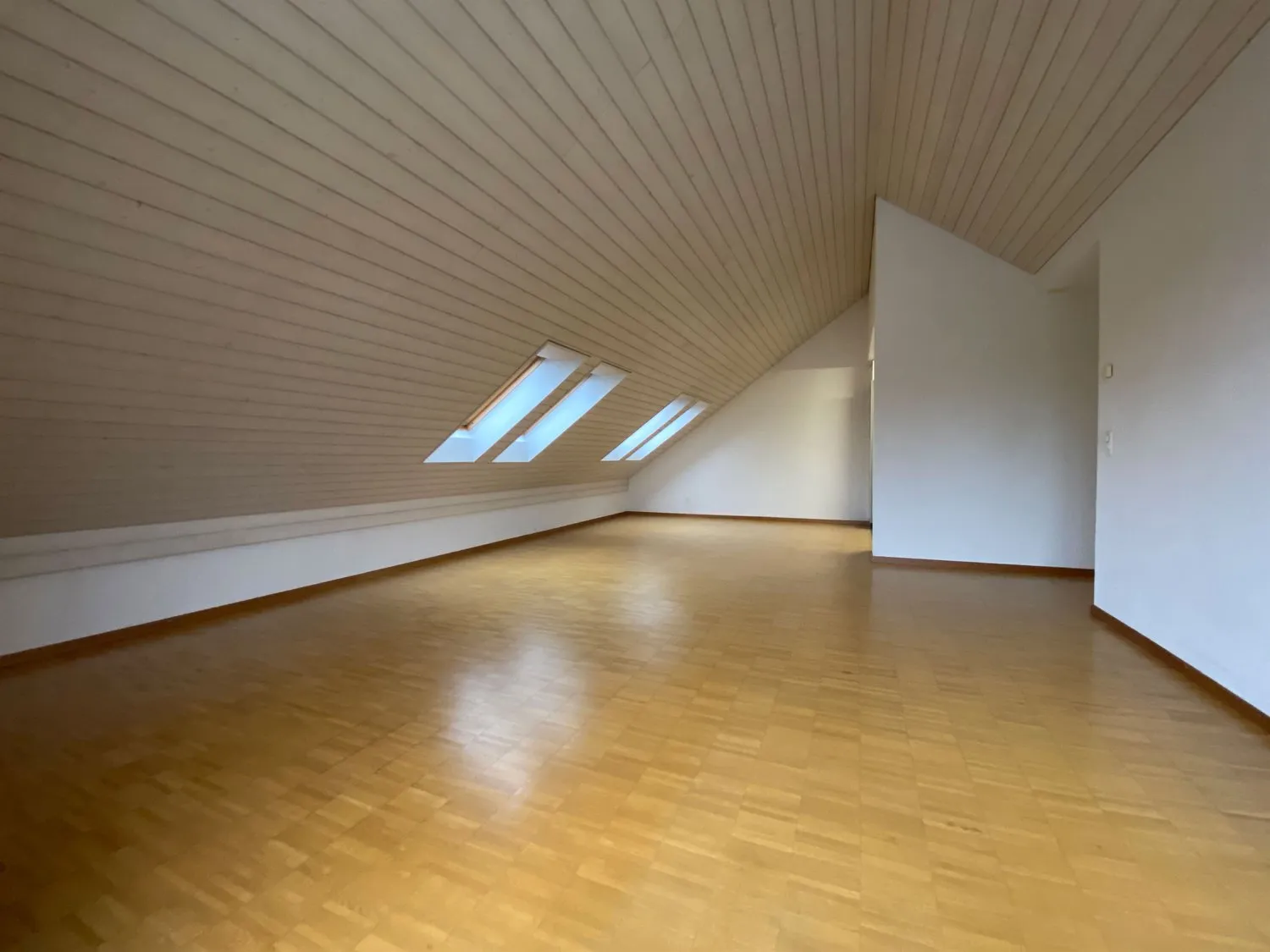 Ihr neues Zuhause- moderne Dachwohnung