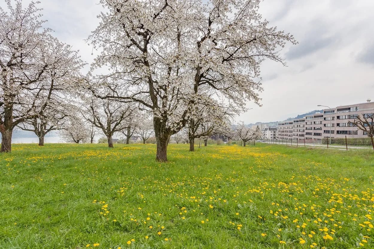 Wohnen mit jeglichem Komfort!