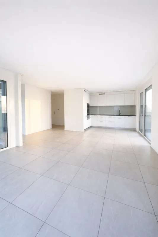 Moderne Attika-Wohnung über den Dächern von Oberwil