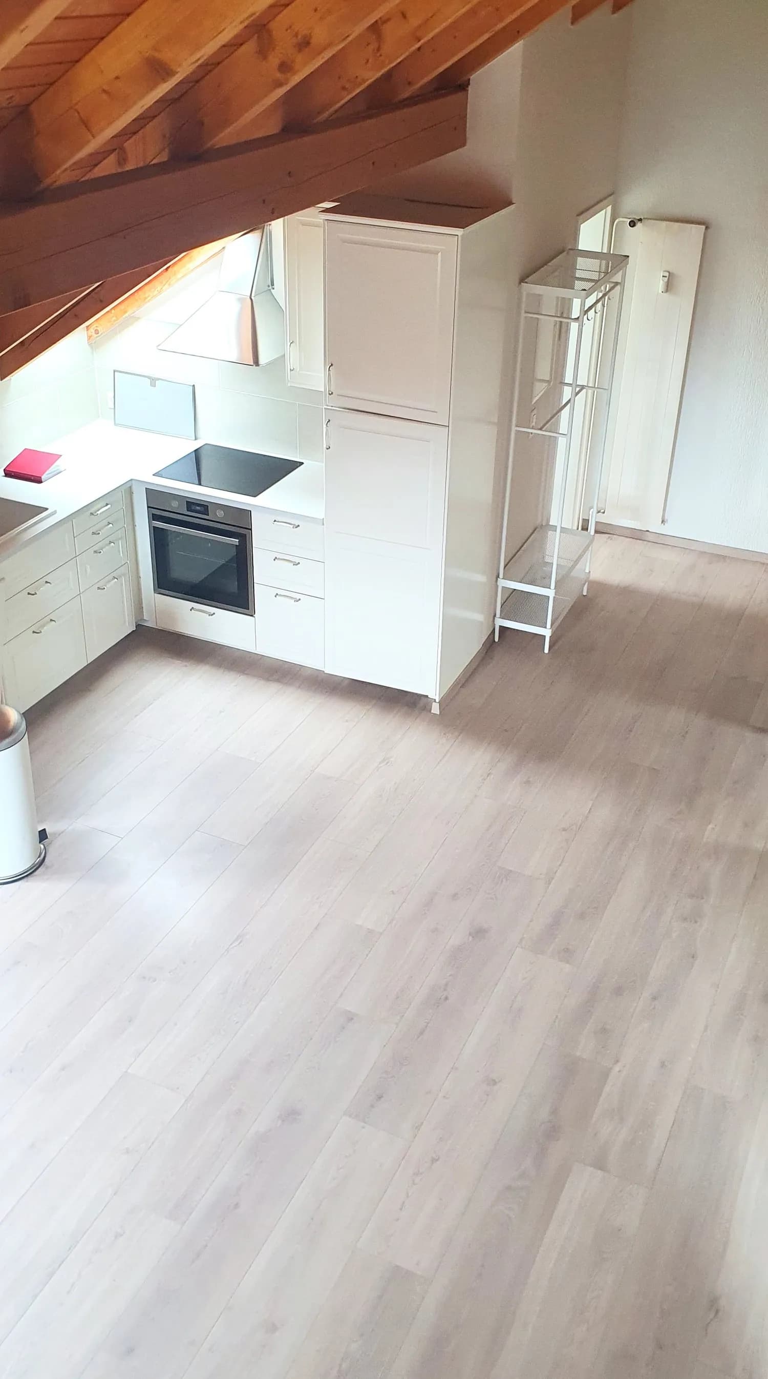 Dachwohnung mit Galerie und Balkon