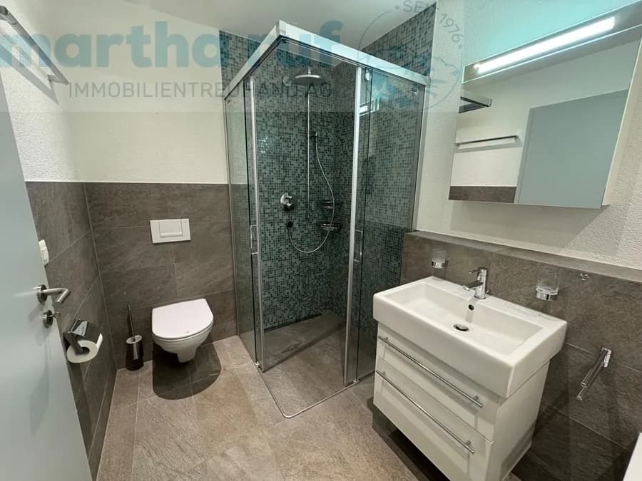 3.5-Zimmer-Wohnung nahe Höhenmatte & Bahnhof West