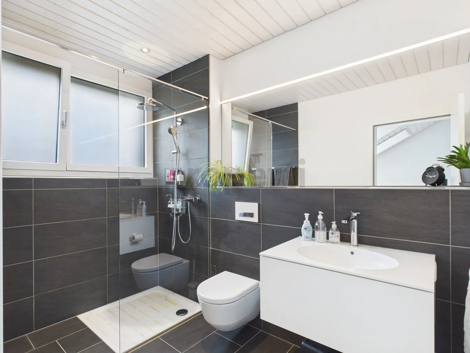 Moderne 5.5-Zimmer Dachwohnung in Erlinsbach mit wunderschöner Terrasse, von wo Sie die Abendsonne geniessen können