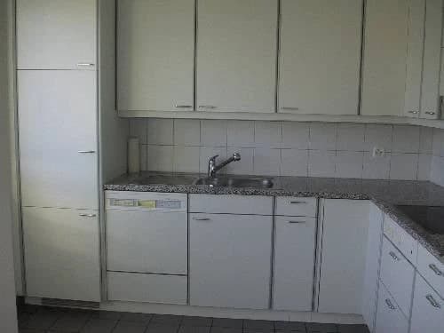 Grosszügige Wohnung ... auch für Alleinstehende!!