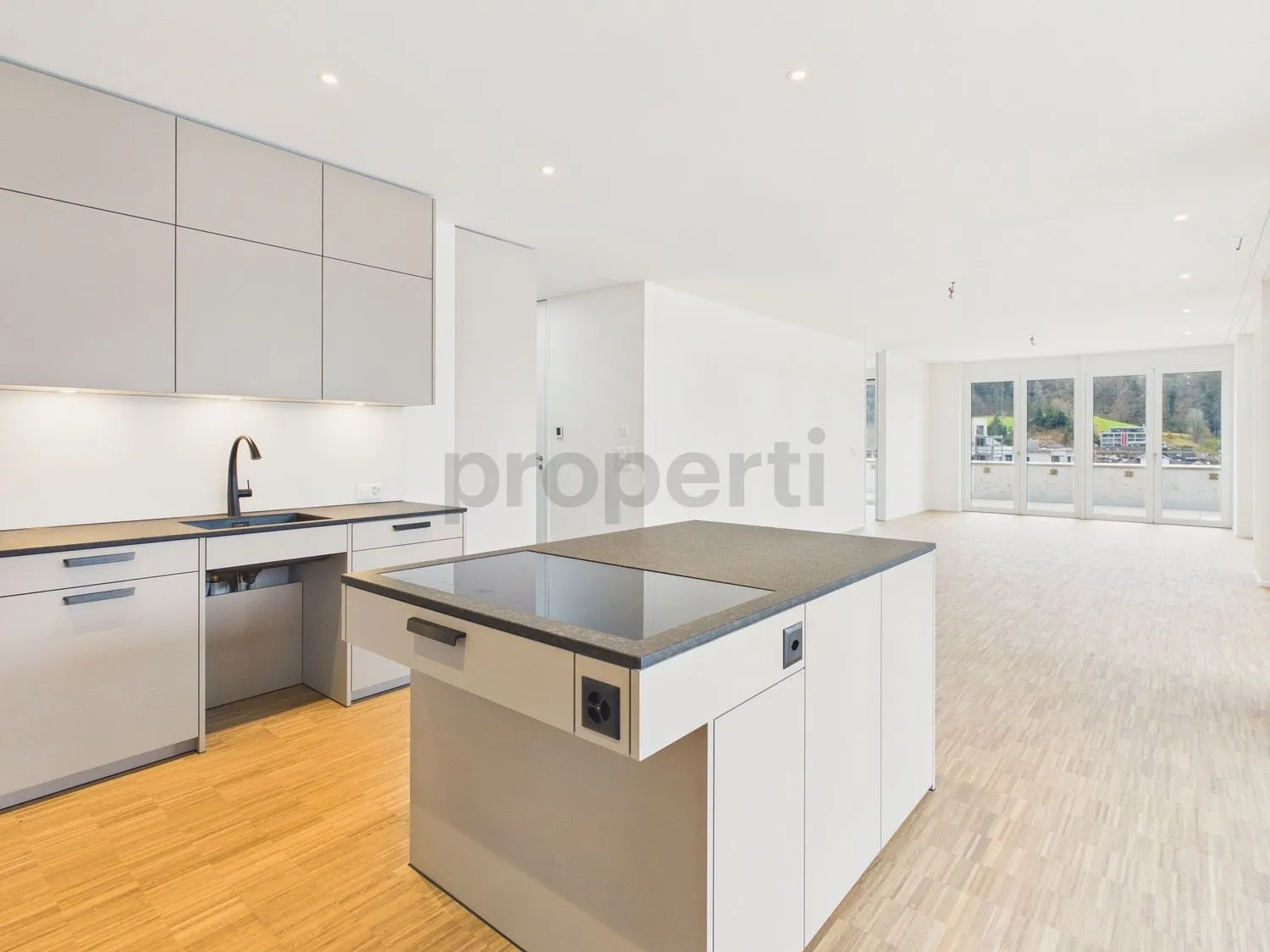 Moderne 4.5-Zimmer-Attikawohnung mit Terrasse, Brunnen