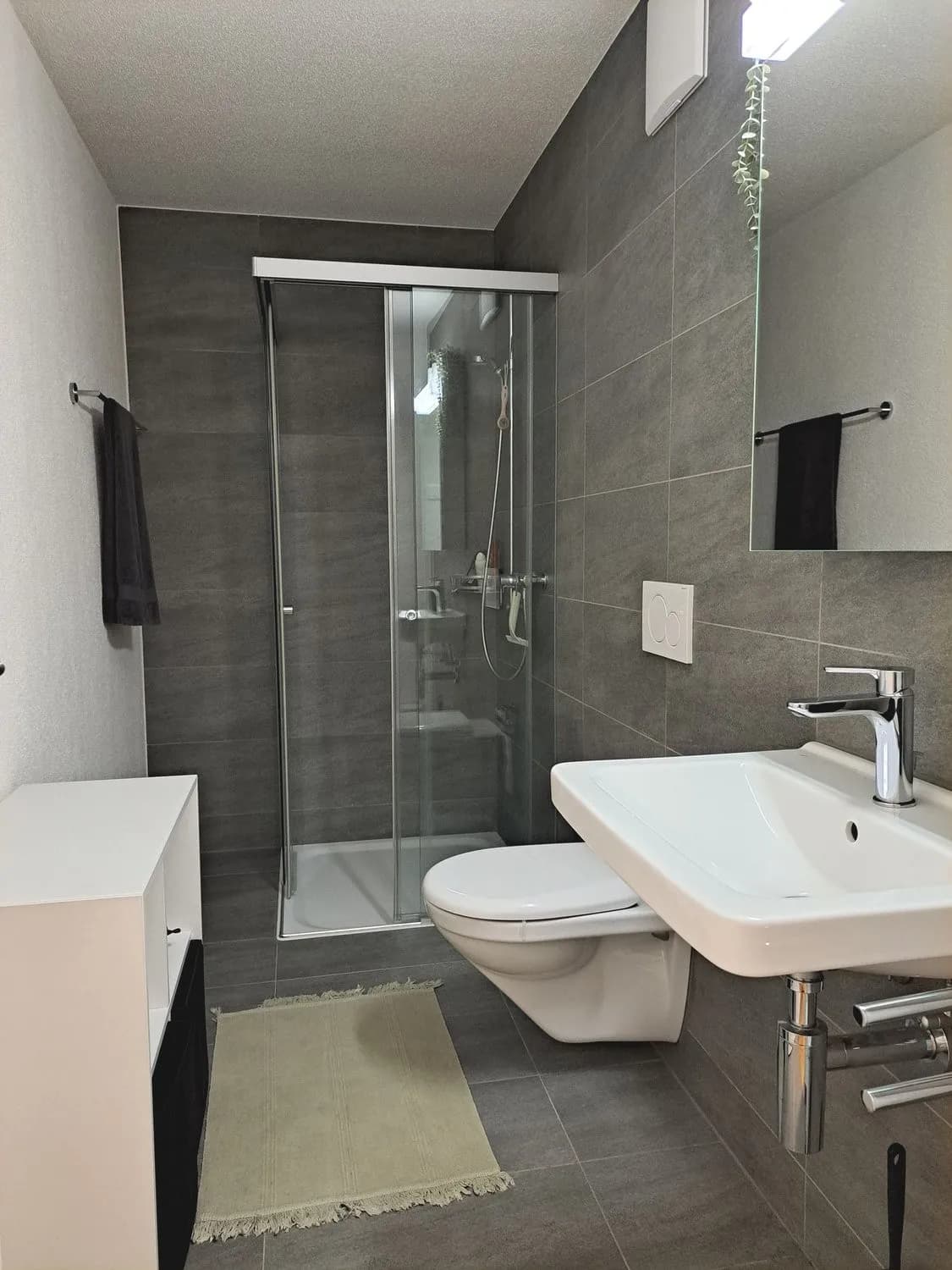 Moderne 3½ ZWG Attika im Dorfzentrum