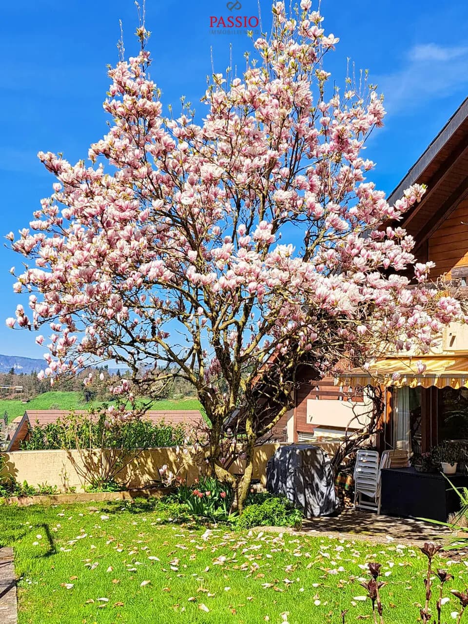 Grosses 10-Zimmer Reiheneckhaus mit Gartenparadies an Top Lage