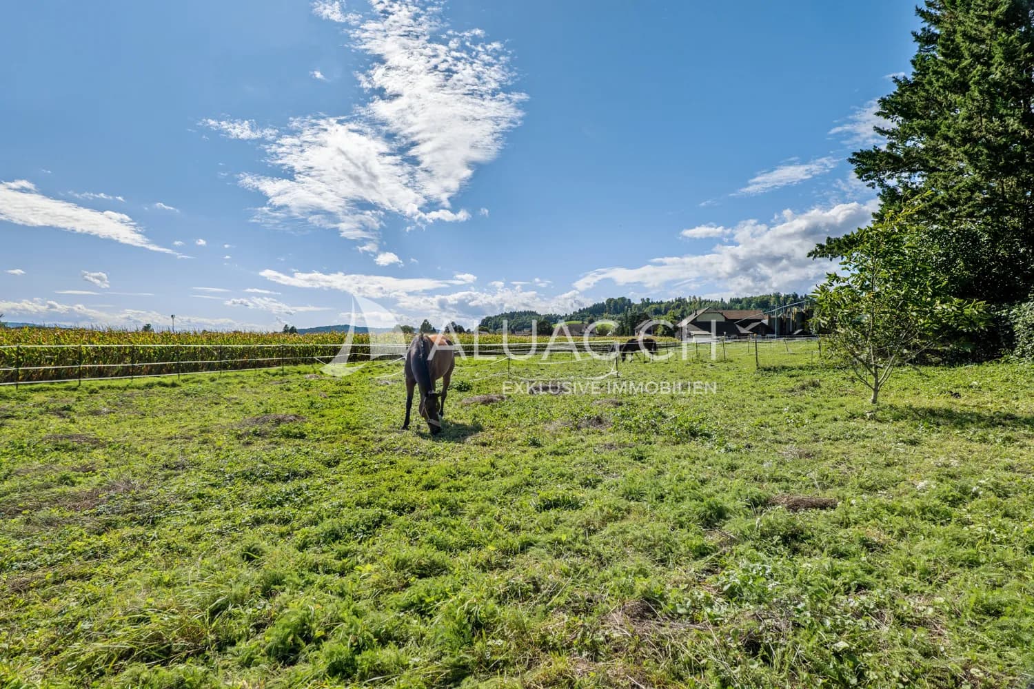 VIELSEITIGER PFERDEHOF MIT ZAHLREICHEN GESTALTUNGSMÖGLICHKEITEN