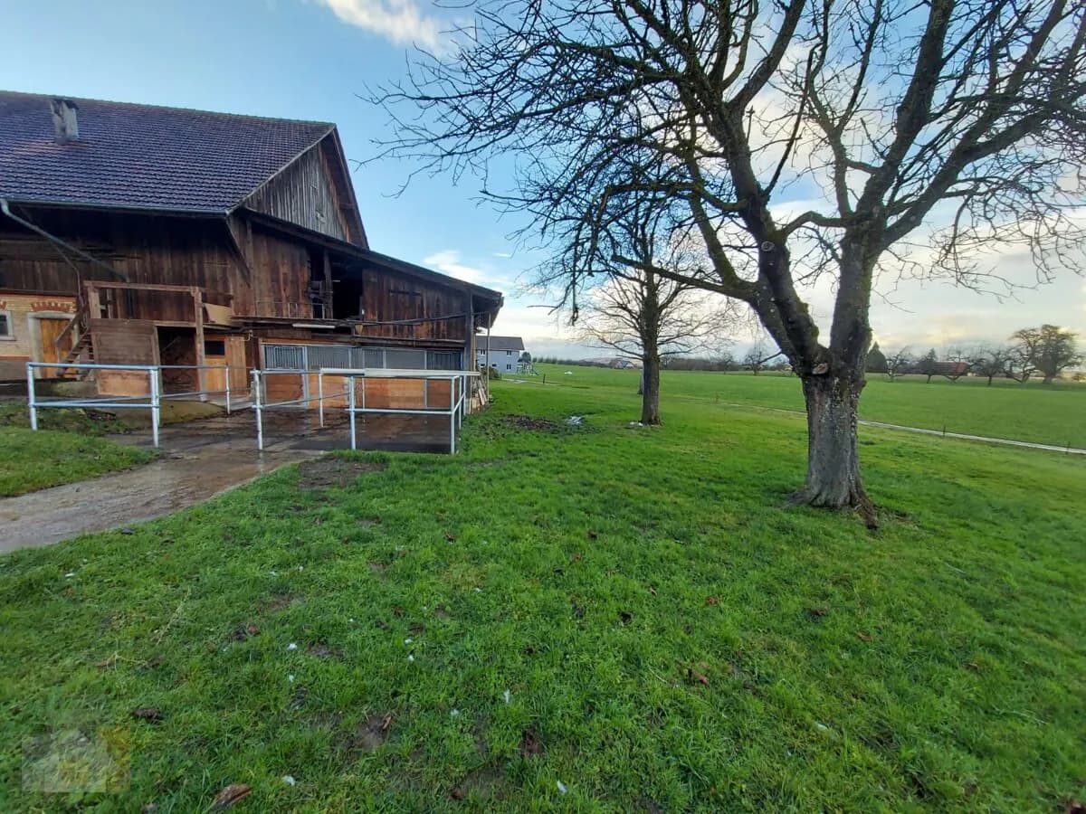 Selbstversorger Stall mit Auslauf für zwei Pferde zusammen