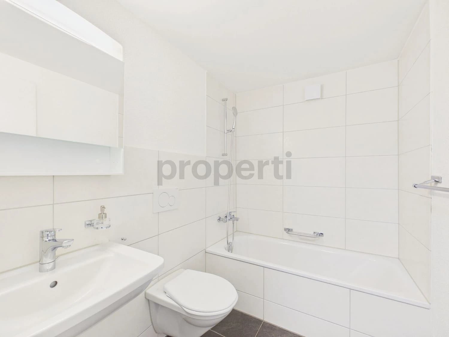 Geräumige 4.5-Zimmer-Dachwohnung mit zentraler Lage, Thayngen