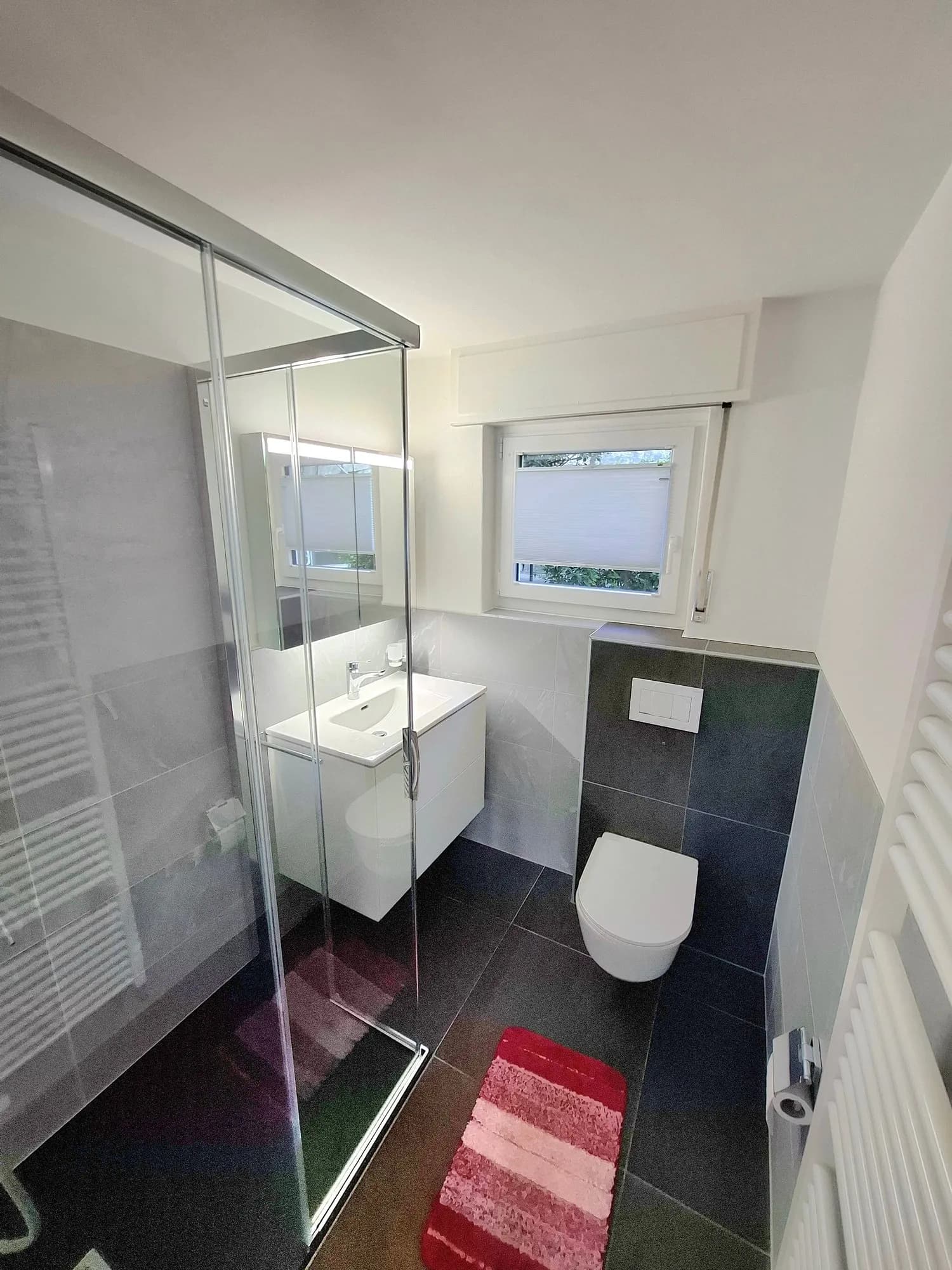 Appartamento 3.5 locali con vista lago a Brissago-Residenza primaria-Erstwohnung