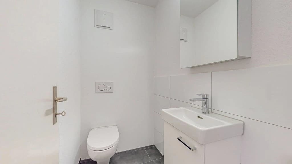 Neu sanierte 4.5 Zimmerwohnung