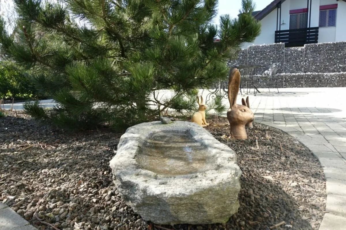 Einfamilienhaus mit grossem Garten