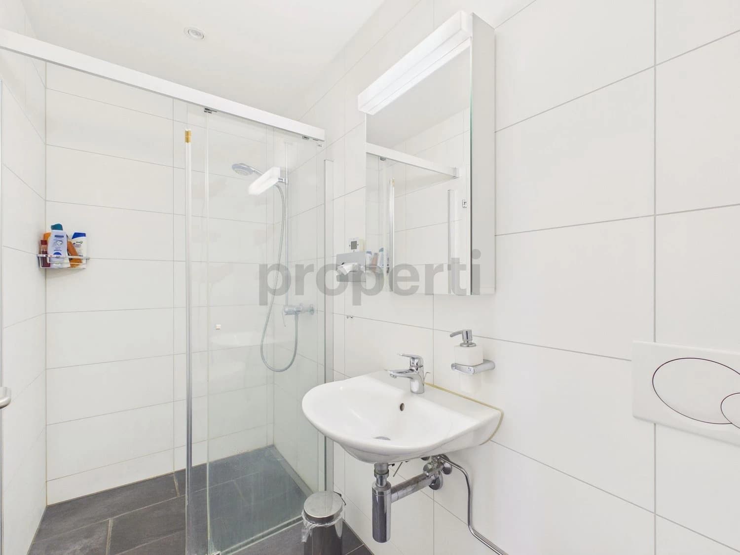 Helle 4.5-Zimmer-Wohnung mit Balkon, Birmenstorf