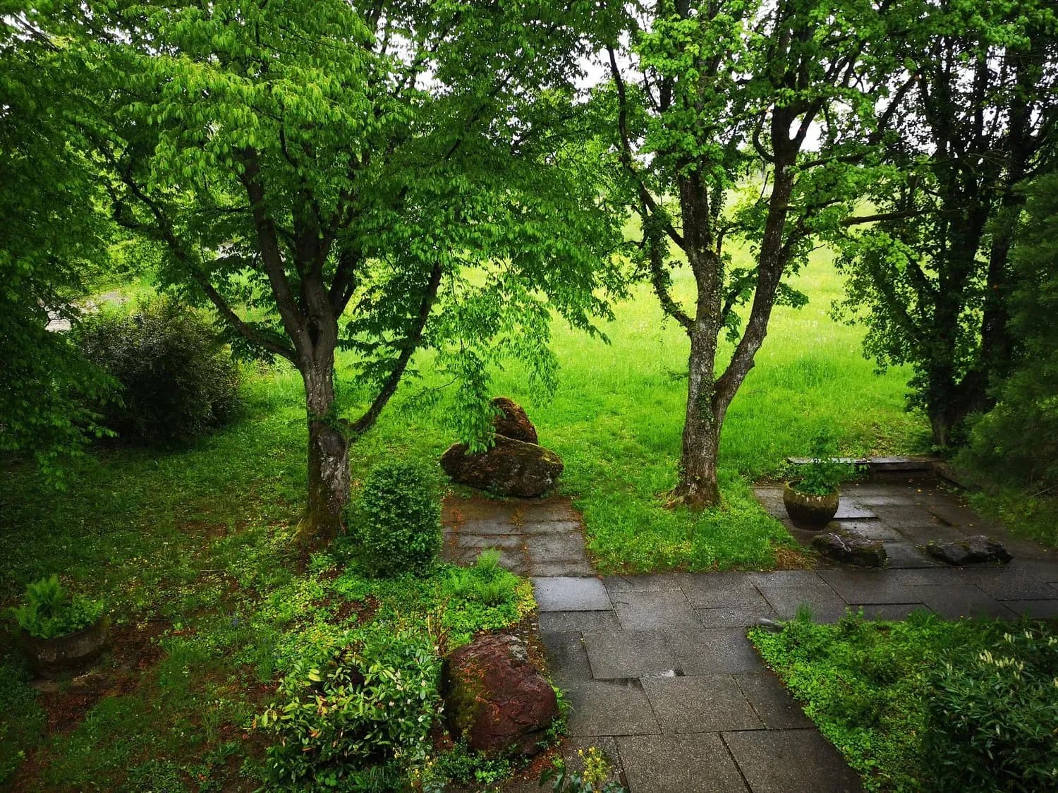 Natur- und Stadtnah Wohnen- Befristet bis 31.07.2028