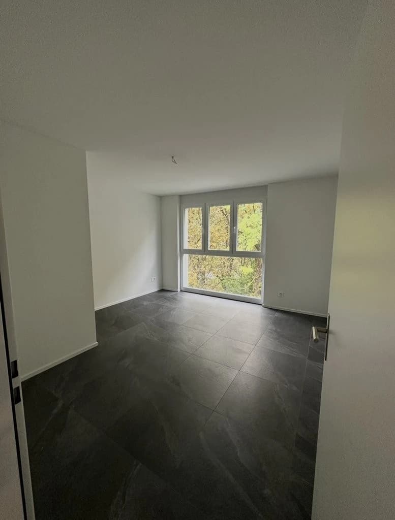 Moderne Wohnung in Grellingen