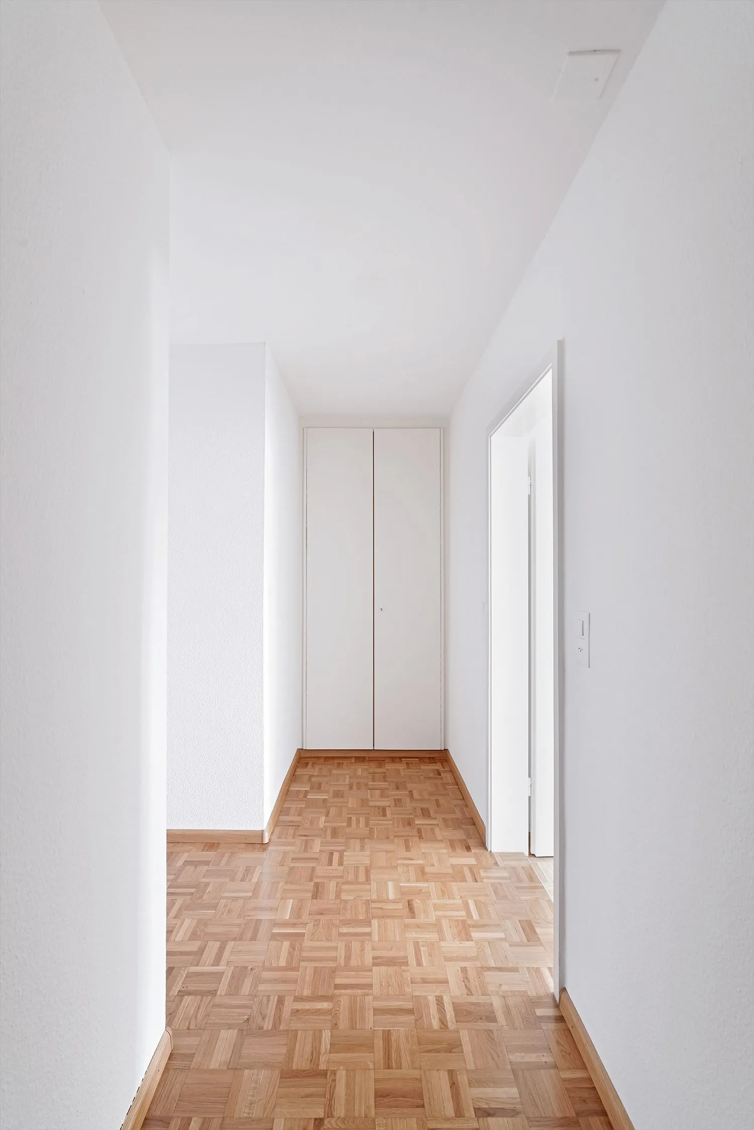 Über den Dächern von Basel