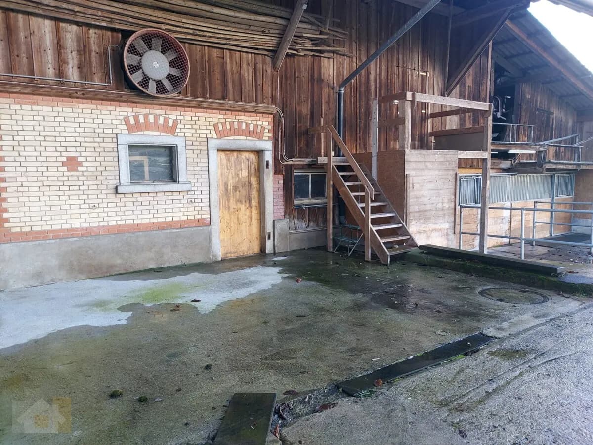 Selbstversorger Stall mit Auslauf für zwei Pferde zusammen