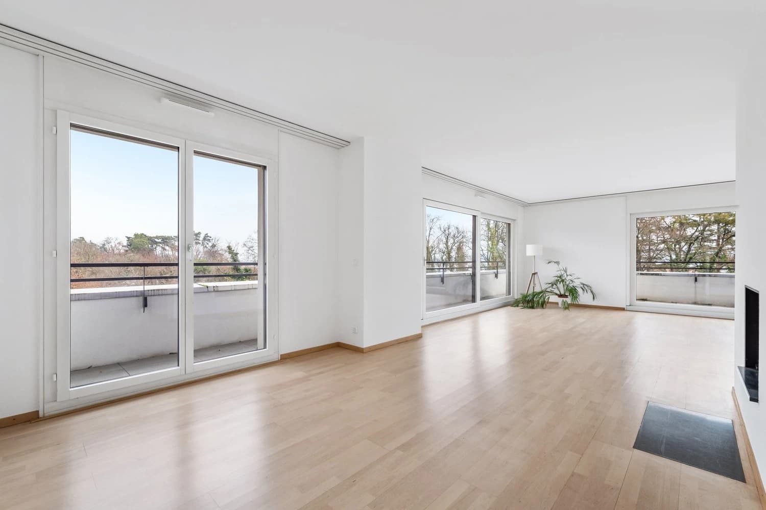 Magnifique appartement au calme