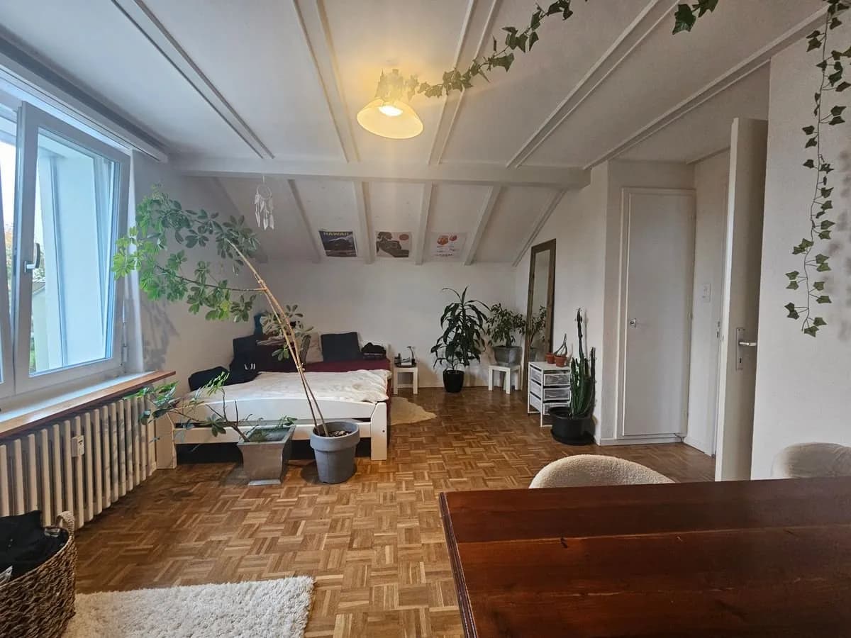 HELL UND GROSSZÜGIG