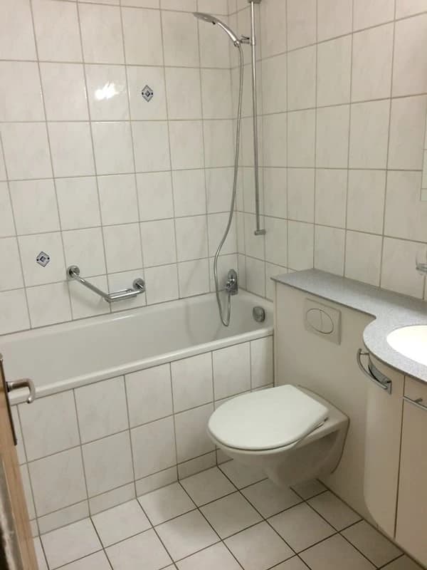 Wohnen im Steinhofquartier!