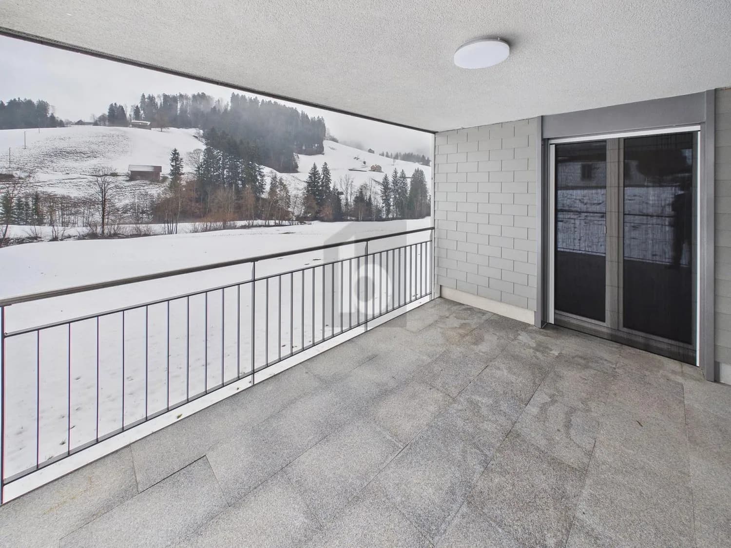 LICHTDURCHFLUTET, MODERN, HAUSTIERFREUNDLICH