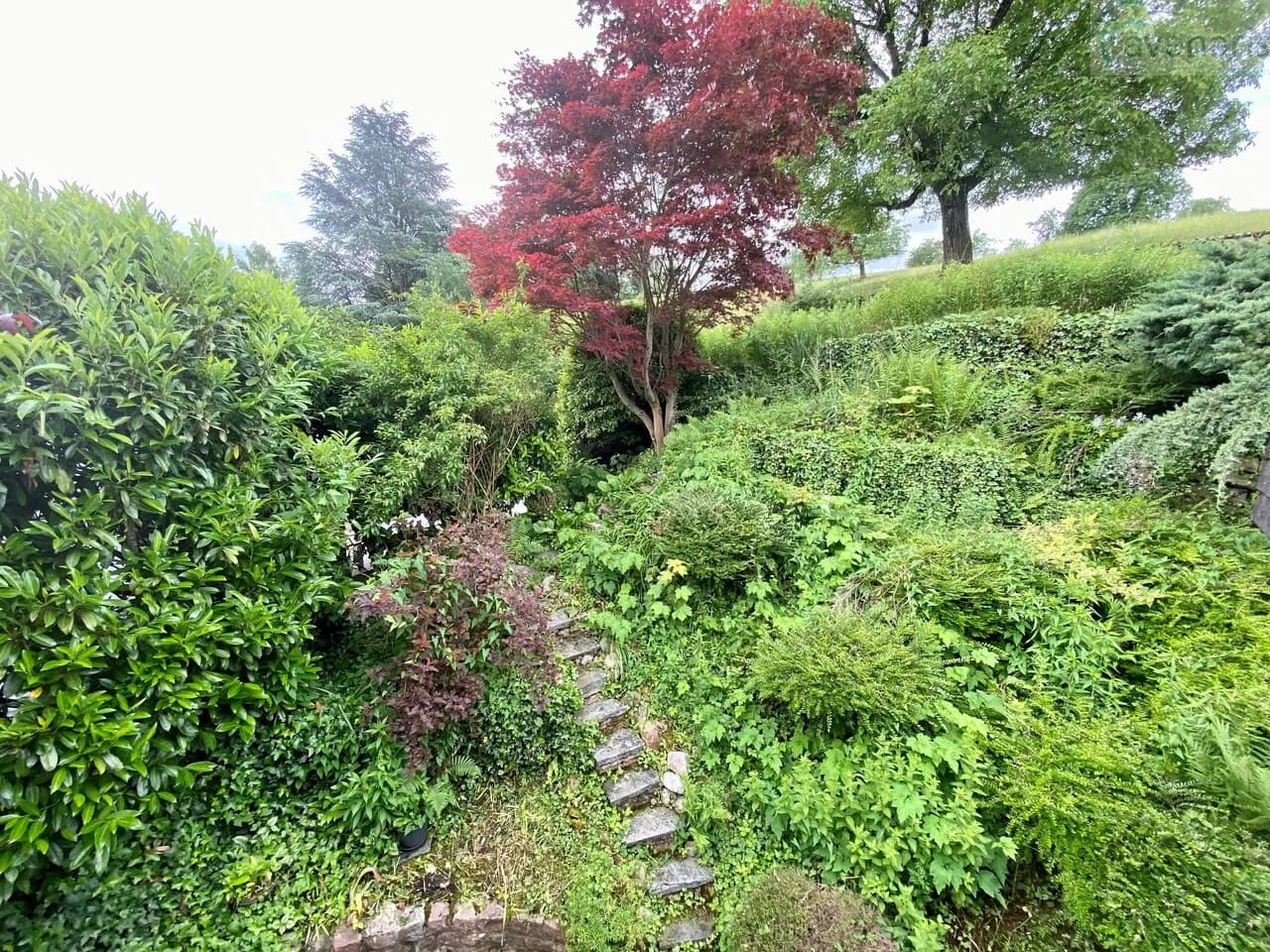 Modernes und geräumiges Doppeleinfamilienhaus an ruhiger Lage