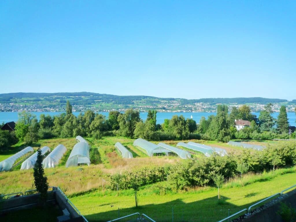 Neu renoviert mit Seeblick und Gartensitzplatz!