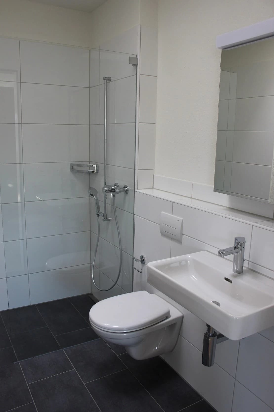 Ein Wohntraum - direkt an der Reuss!