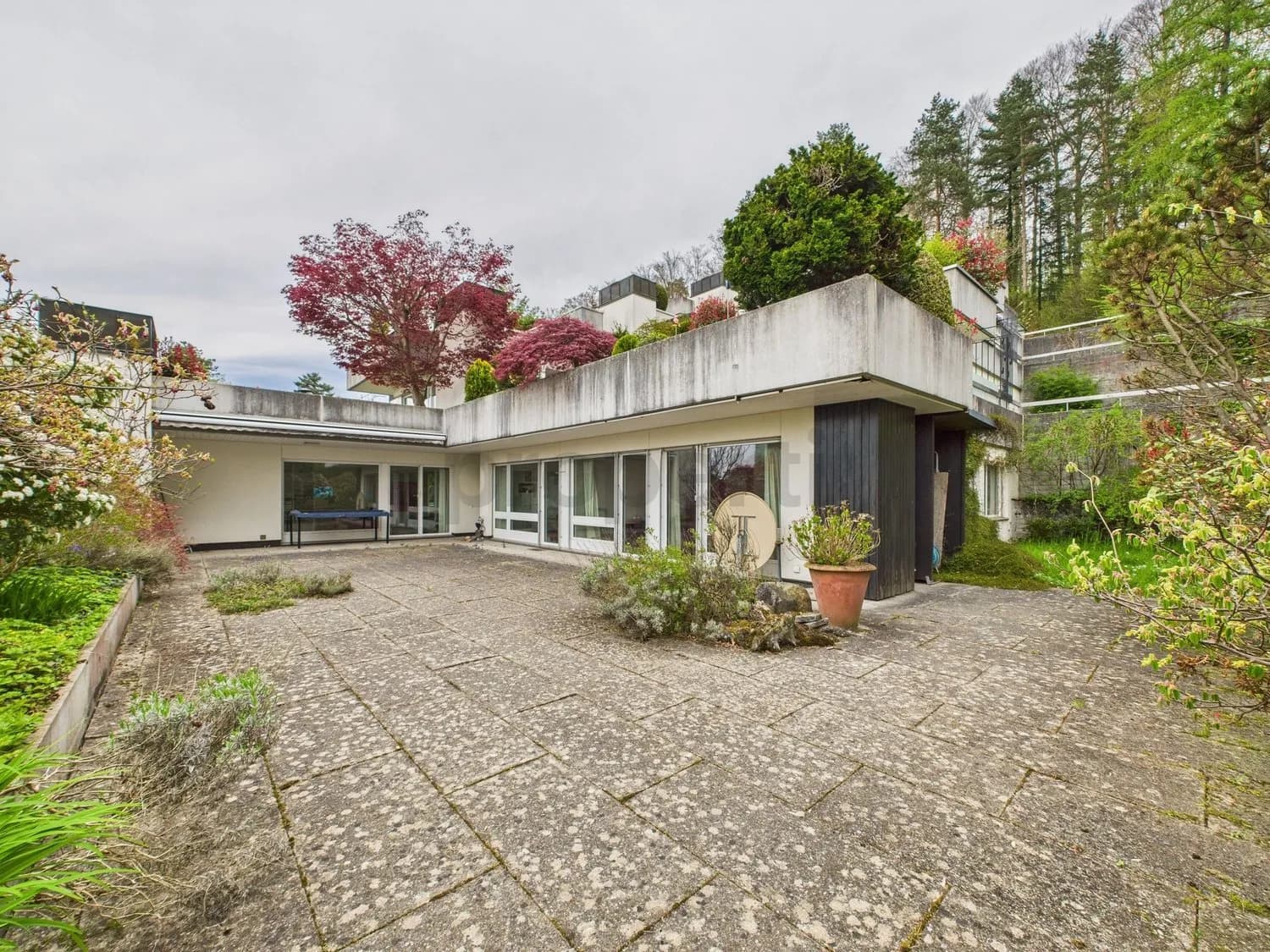 5.5-Zimmer Terrassenwohnung in Wettswil am Albis