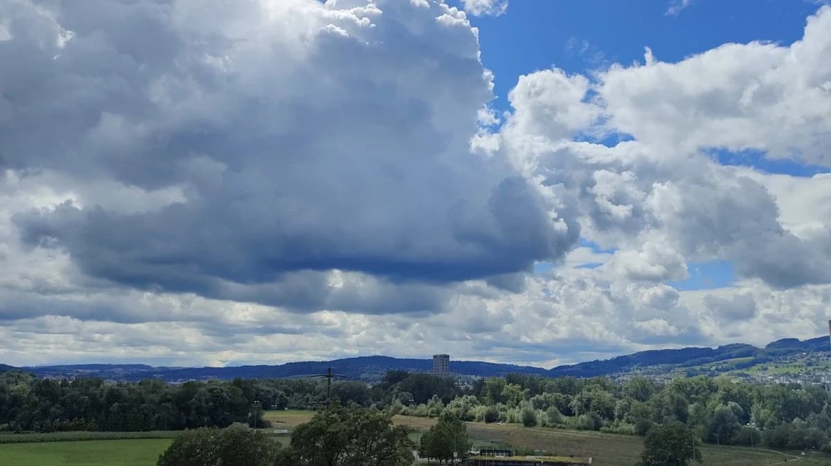 Mit Concierge und eigenem Fitness  - Neubau in bester Lage