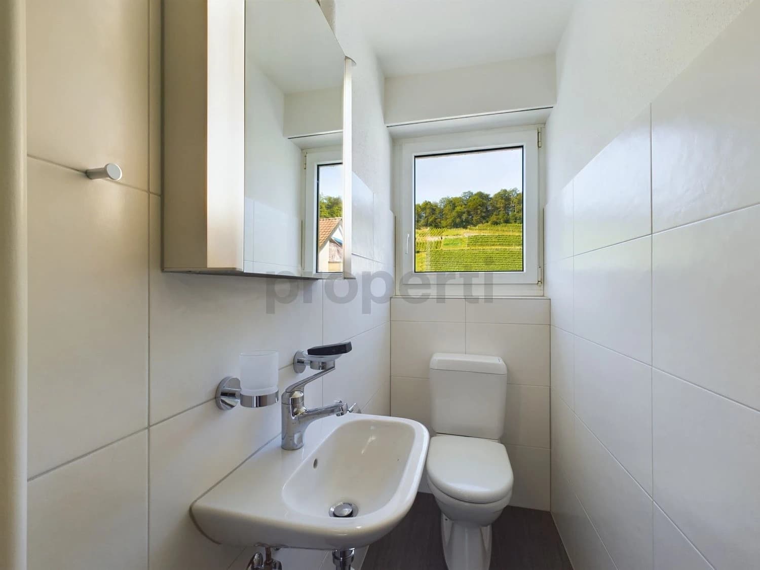 Helle 4-Zimmer-Wohnung in Thal mit traumhafter Terrasse