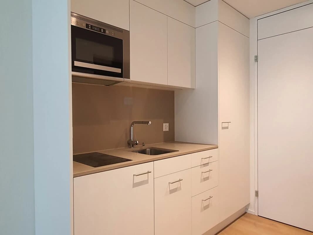 moderne 1.5-Zimmer-Wohnung mit optimaler Verkehrsanbindung