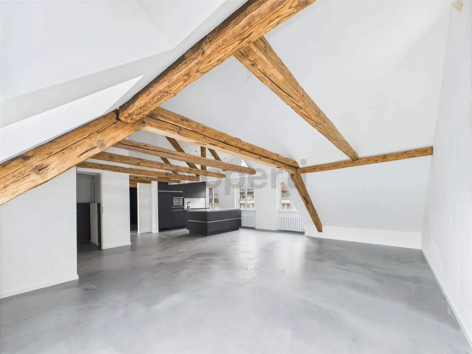 Modernes Loft mit Charme und Aussicht  Wohnen über den Dächern von Lichtensteig
