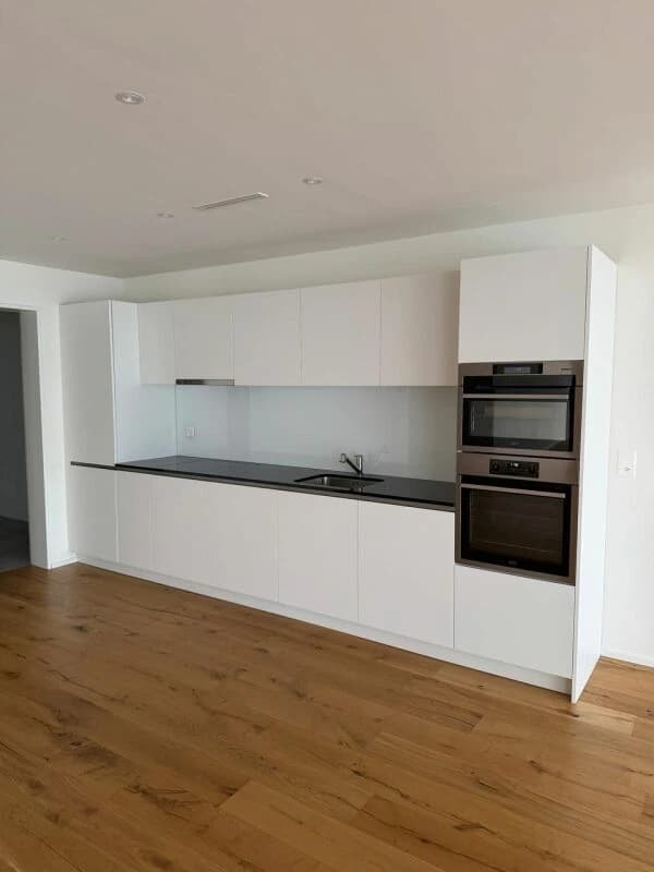 1.5-Zimmer-Loft an prominenter Lage in Reichenburg