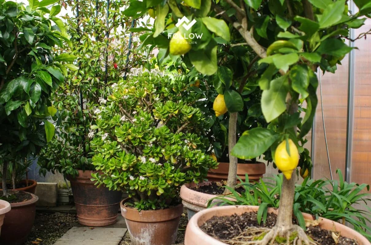 Eckhaus mit privatem Gartenparadies