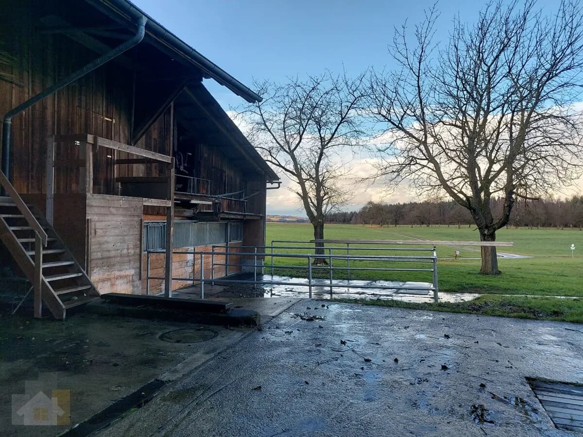 Selbstversorger Stall mit Auslauf für zwei Pferde zusammen