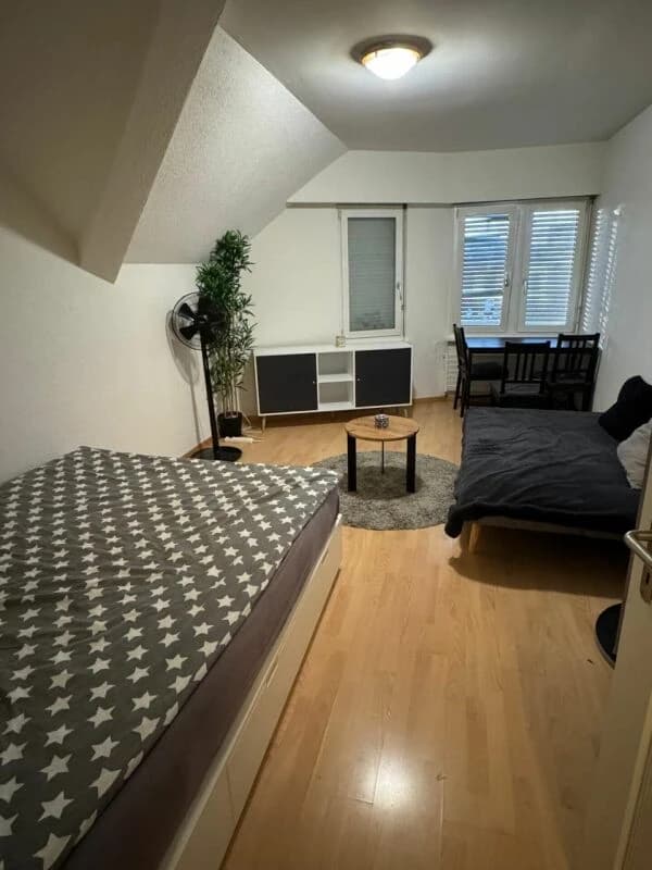 Charmante 1.5-Zimmer-Wohnung in der Altstadt von Arbon zu vermieten!