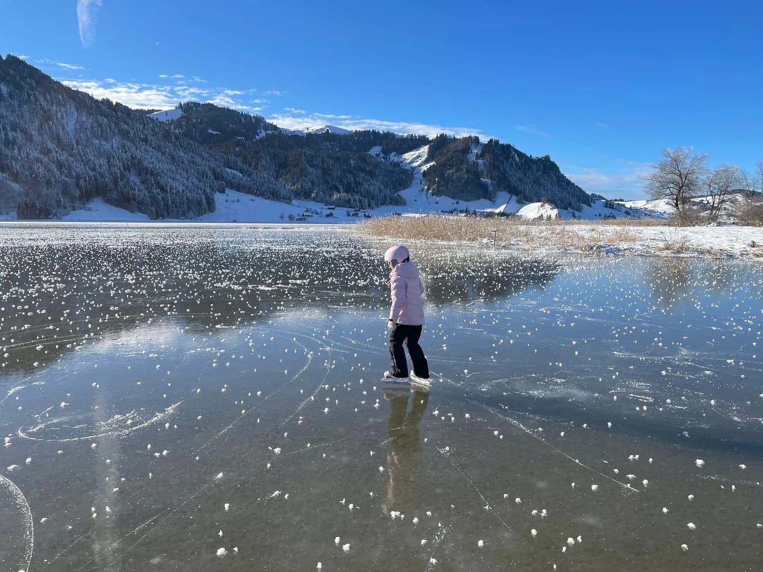 NEUBAU - 4.5-Zimmer-Wohnung mit Seesicht in Euthal