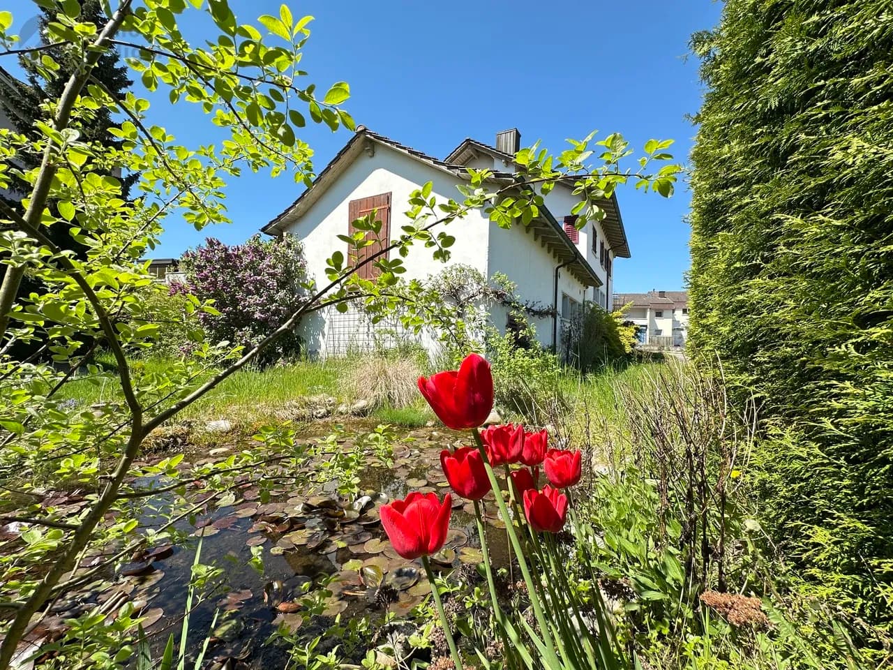 Projektliegenschaft mit >300 m2 Wohnfläche, Werkstatt & Ladenlokal