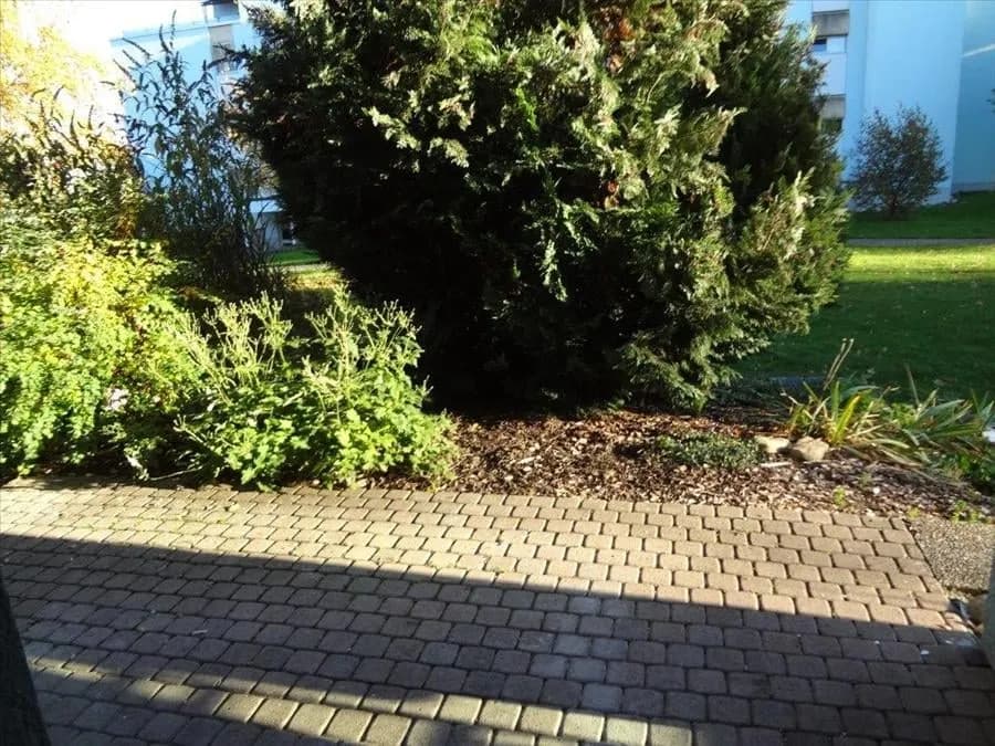 Ihre neue Wohnung in Spiez?