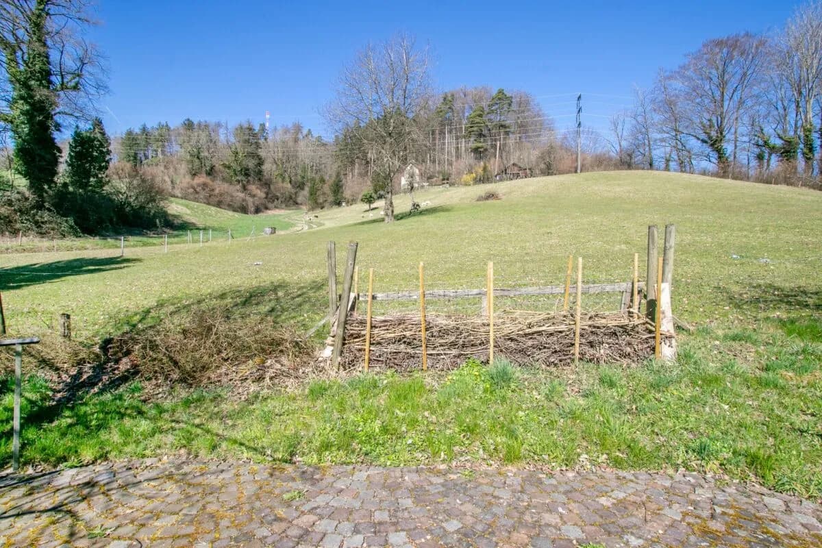 Einzigartiges Ensemble: Historisches Wohnglück und kreative Freiheit