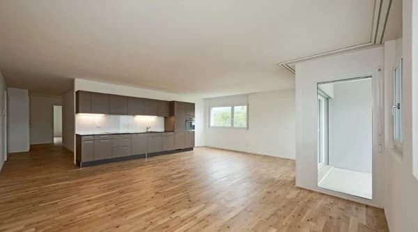 Ein Wohntraum - direkt an der Reuss!