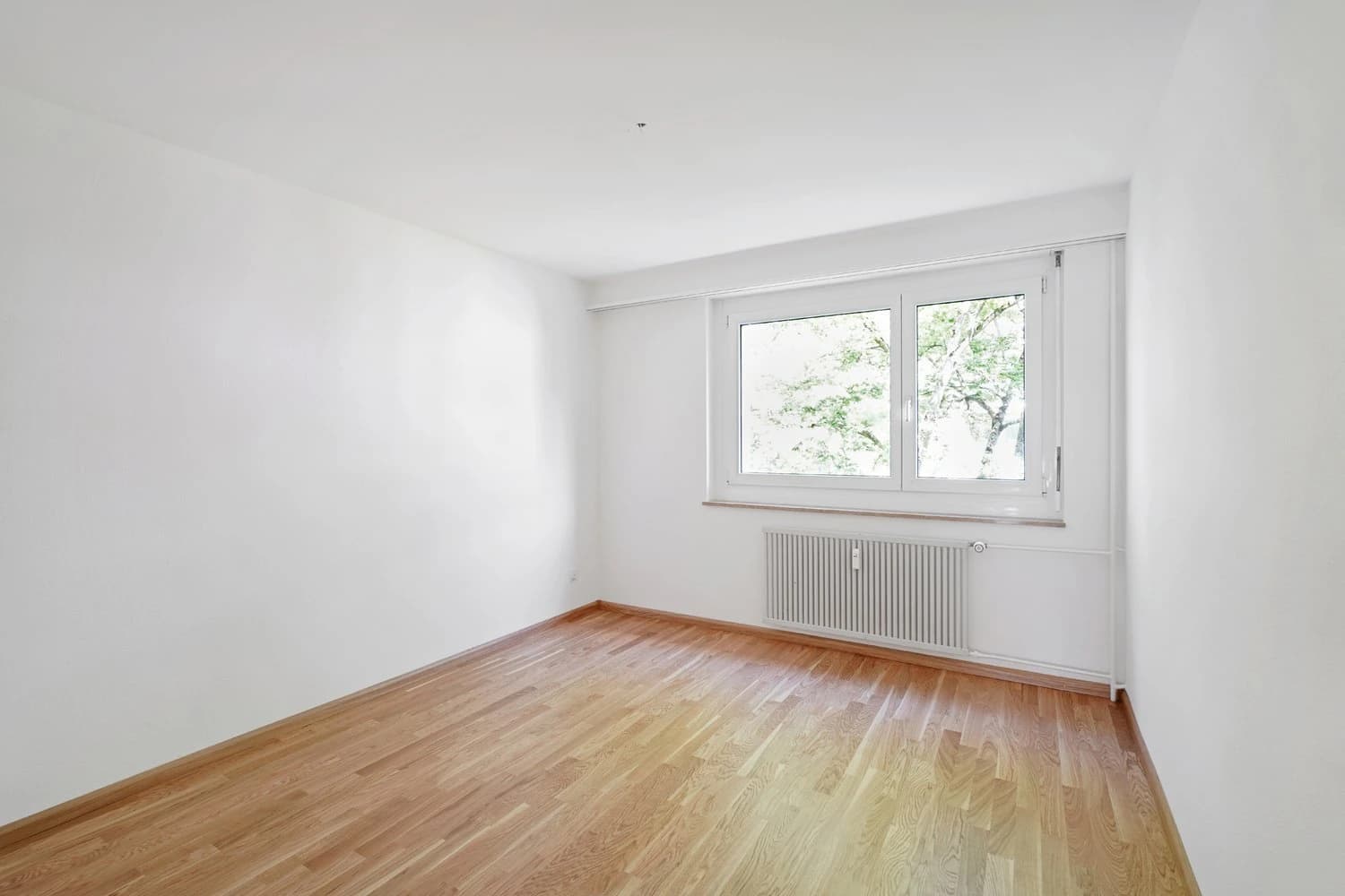 Sonnige Wohnung in Birsfelden!