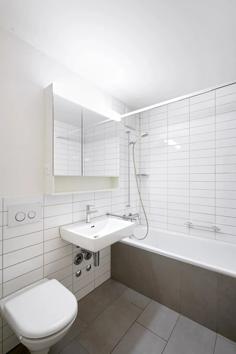 Singlewohnung mit Galerie und Cheminée - Nähe SBB