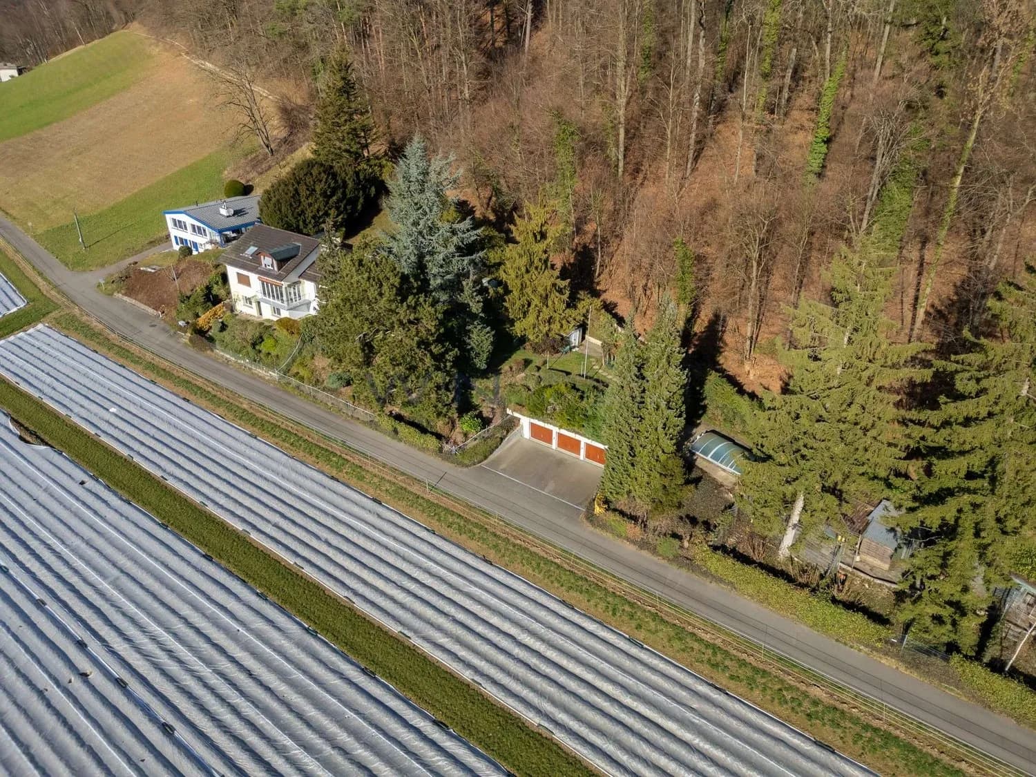 Raumwunder mit Gartenidylle & Einliegerwohnung